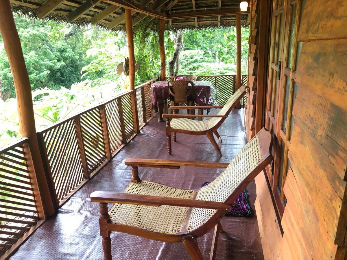 Sigiri Lion Eco Palace Sigiriya Exteriér fotografie