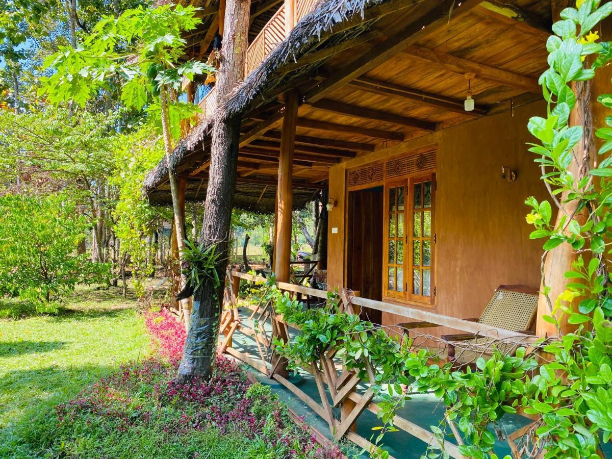 Sigiri Lion Eco Palace Sigiriya Exteriér fotografie