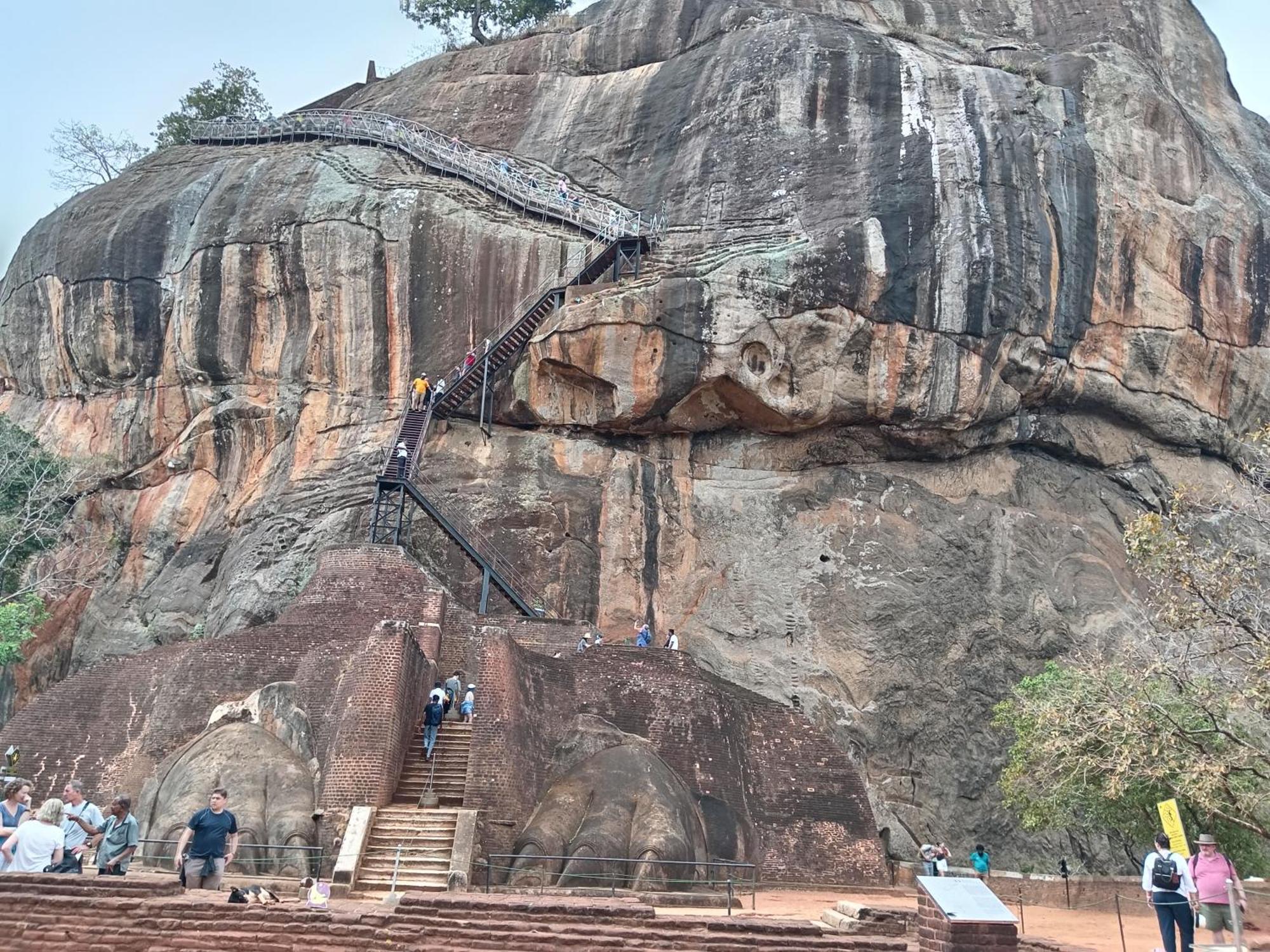 Sigiri Lion Eco Palace Sigiriya Exteriér fotografie