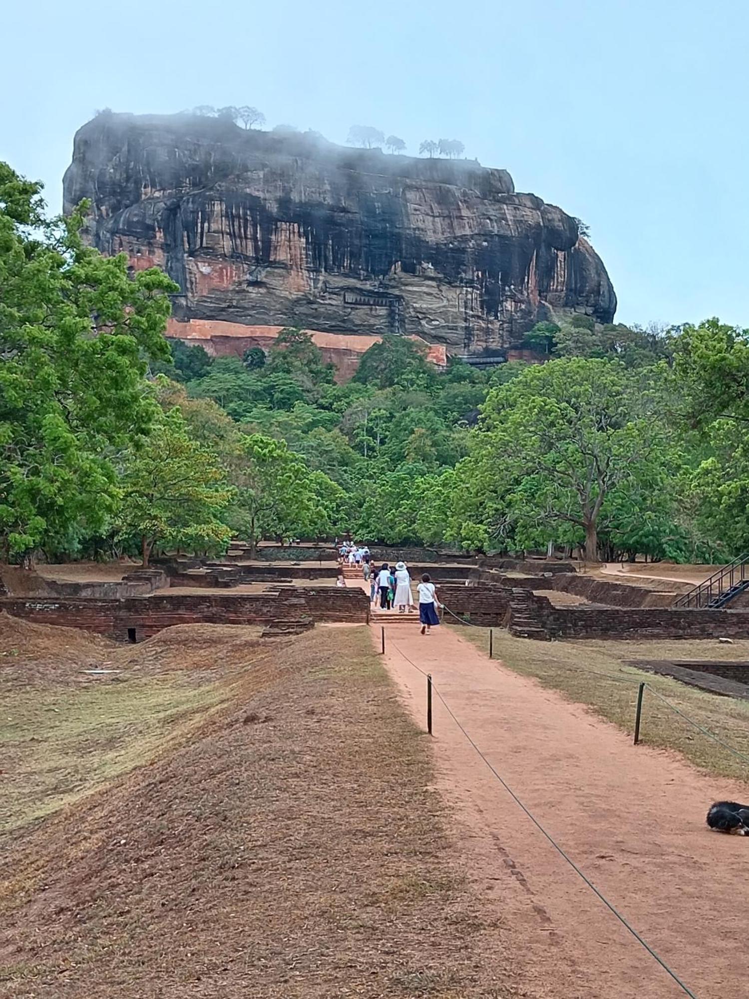 Sigiri Lion Eco Palace Sigiriya Exteriér fotografie