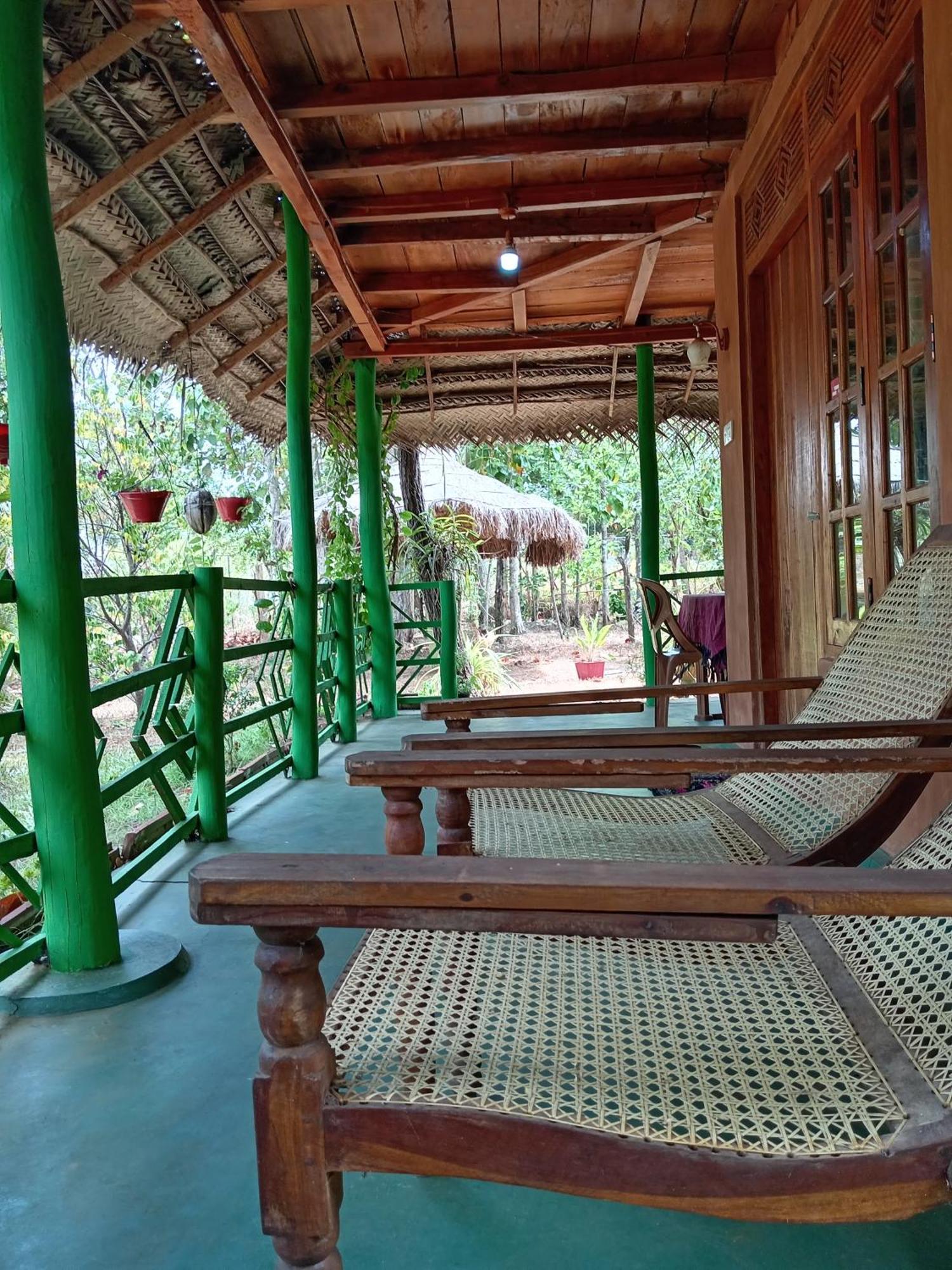 Sigiri Lion Eco Palace Sigiriya Exteriér fotografie